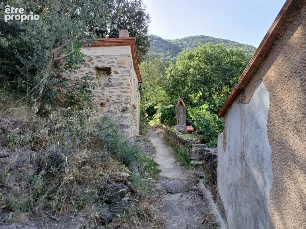 Mas en pierre à Reynes - photo 20