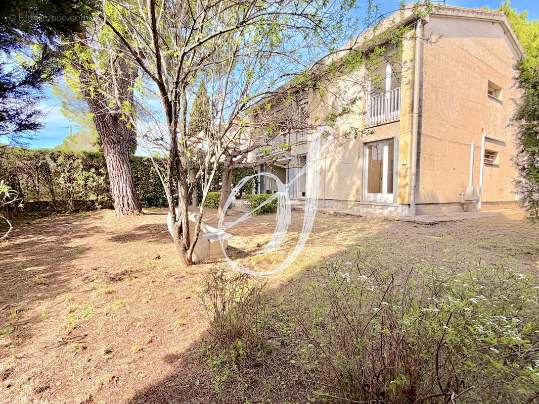 Maison à MONTPELLIER