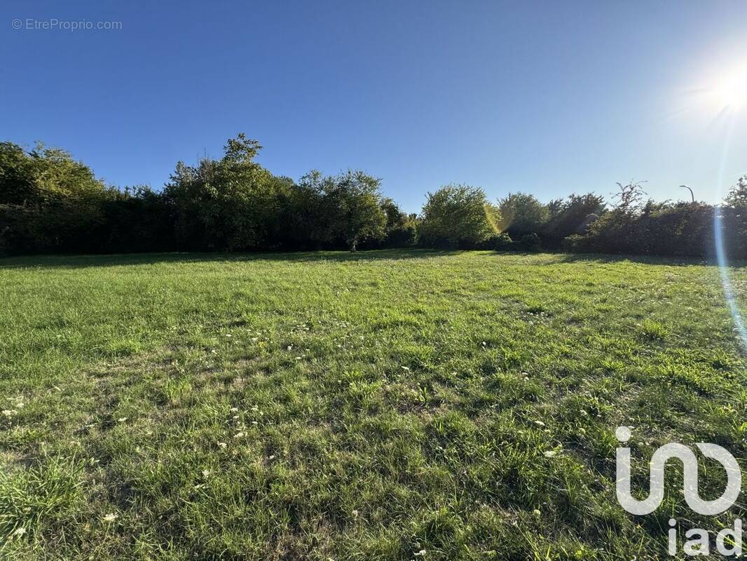 Photo 1 - Terrain à CHINON