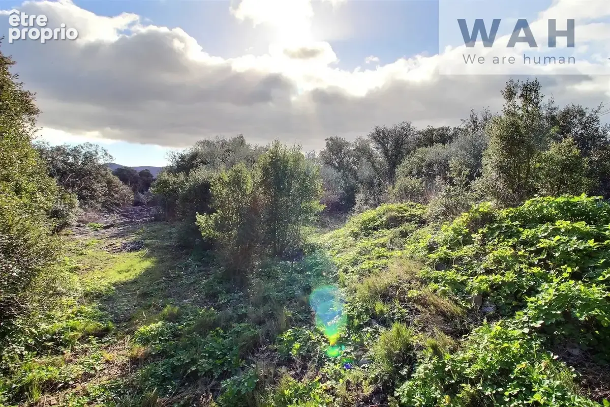 Vente terrain constructible de 1096 m2 viabilise - causse-de - photo 3