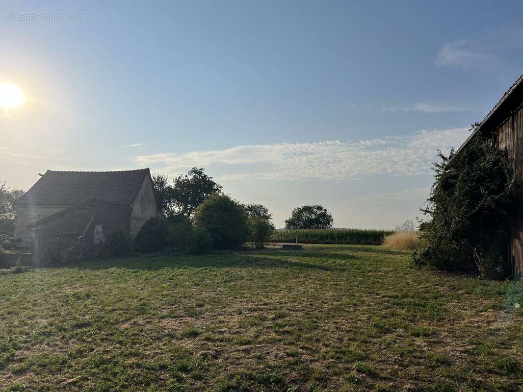 Terrain 1371 m² à Villequier-Aumont  - photo 2