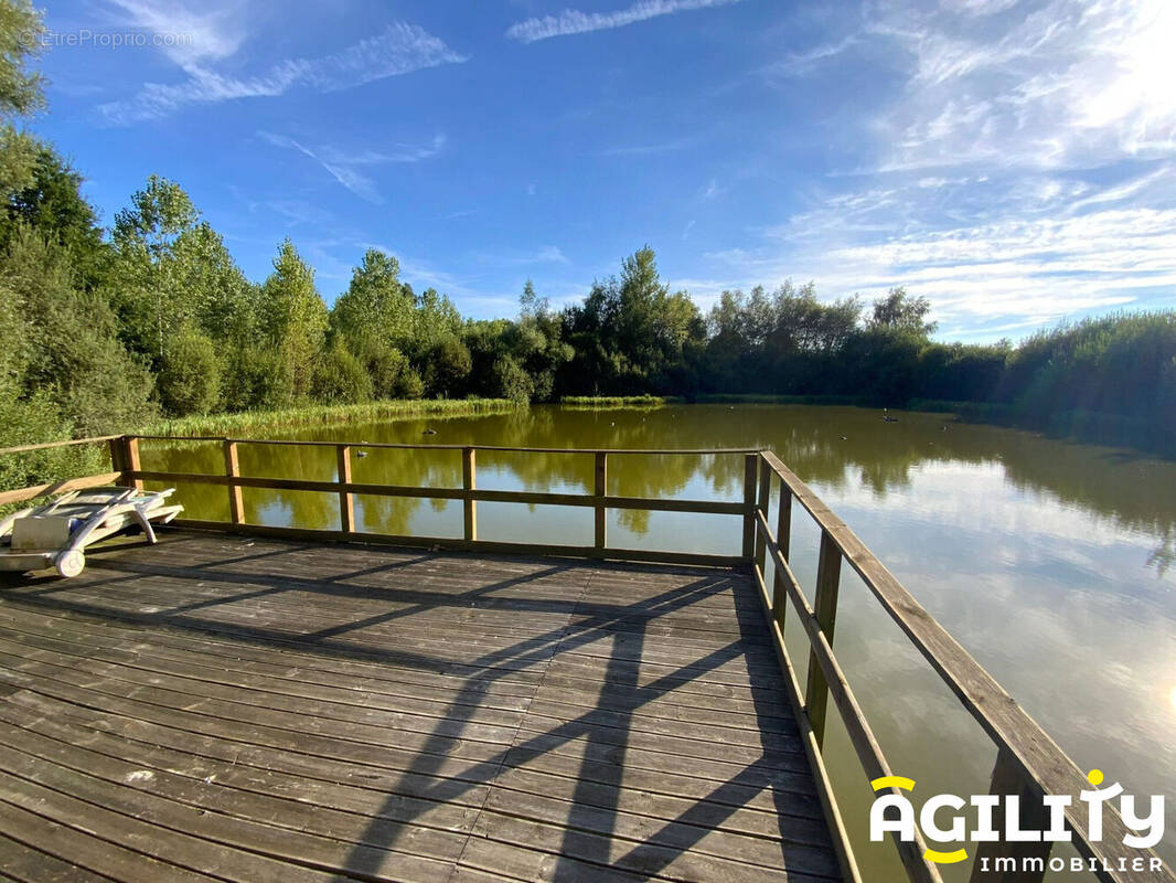 Terrain à MILLONFOSSE
