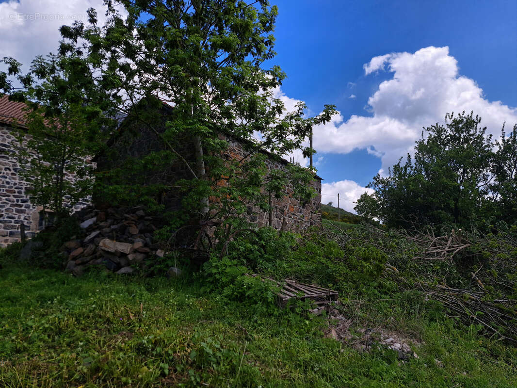 Maison en pierre en partie rénovée et petite bergerie - photo 4