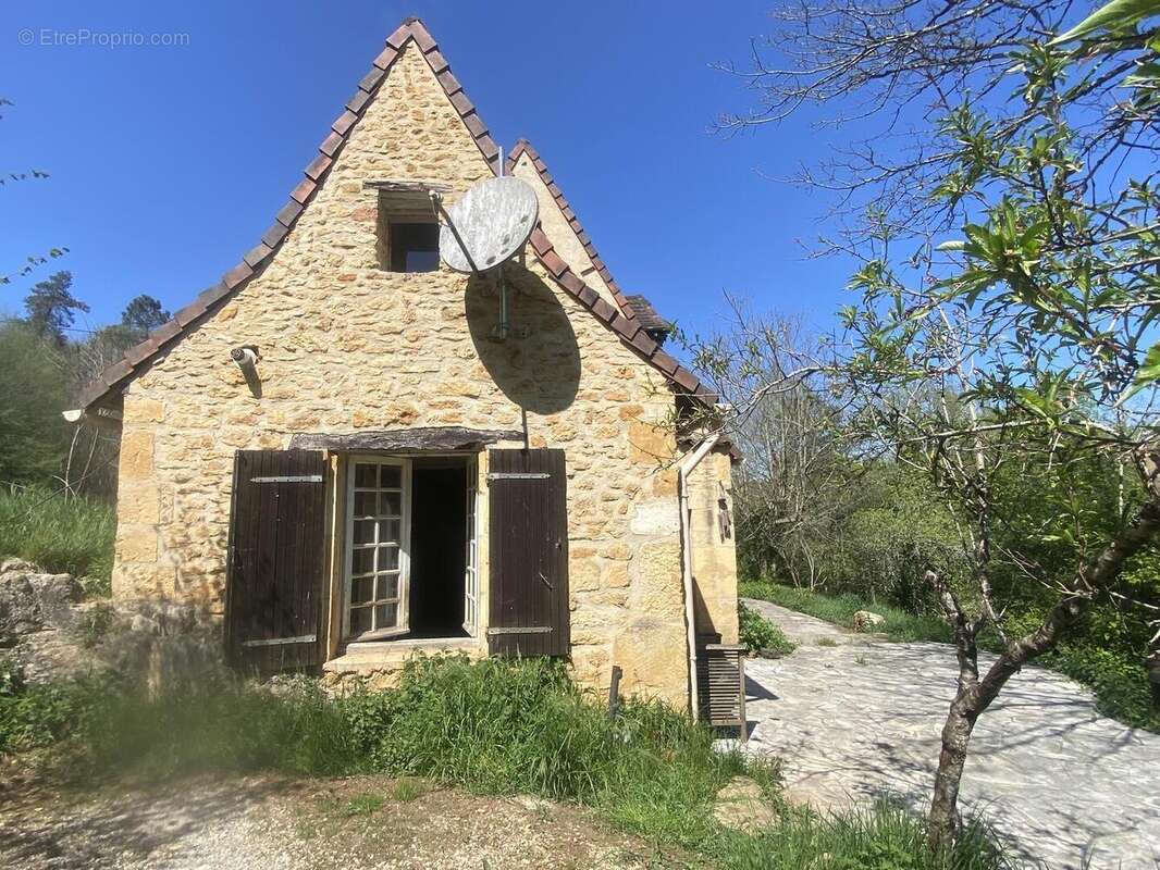 IMG6748 - Maison à LES EYZIES-DE-TAYAC-SIREUIL