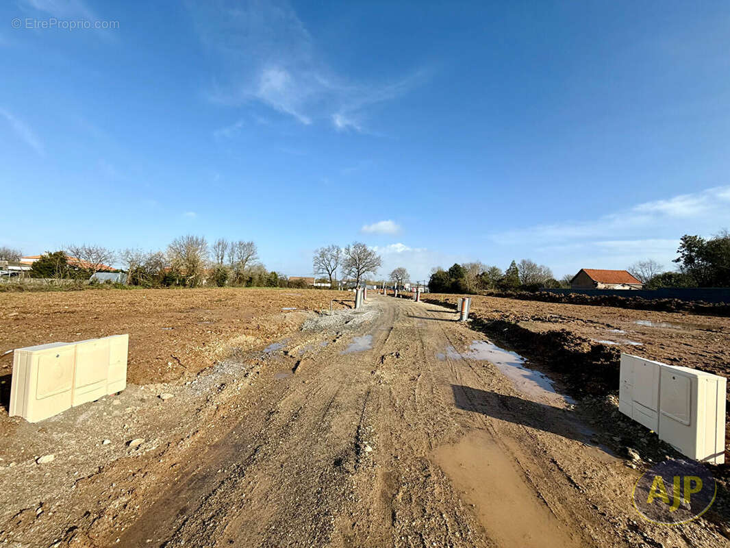 Terrain à SAINTE-PAZANNE