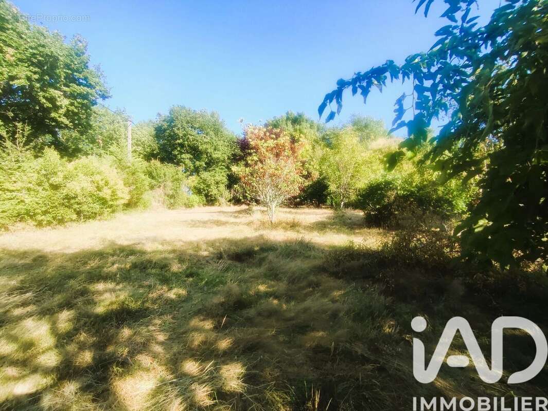 Photo 4 - Terrain à MONTAUBAN