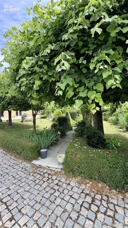 Achat St Lye proche Troyes maison 307m2  une dépendance 100 m2 jardin arboré 4135 m2 - photo 2