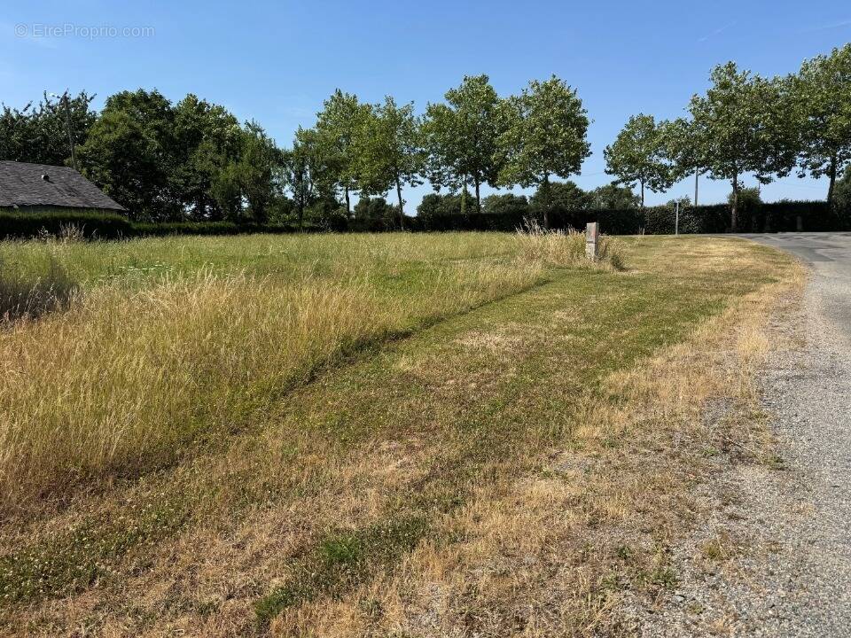 Terrain à MARIGNE-PEUTON