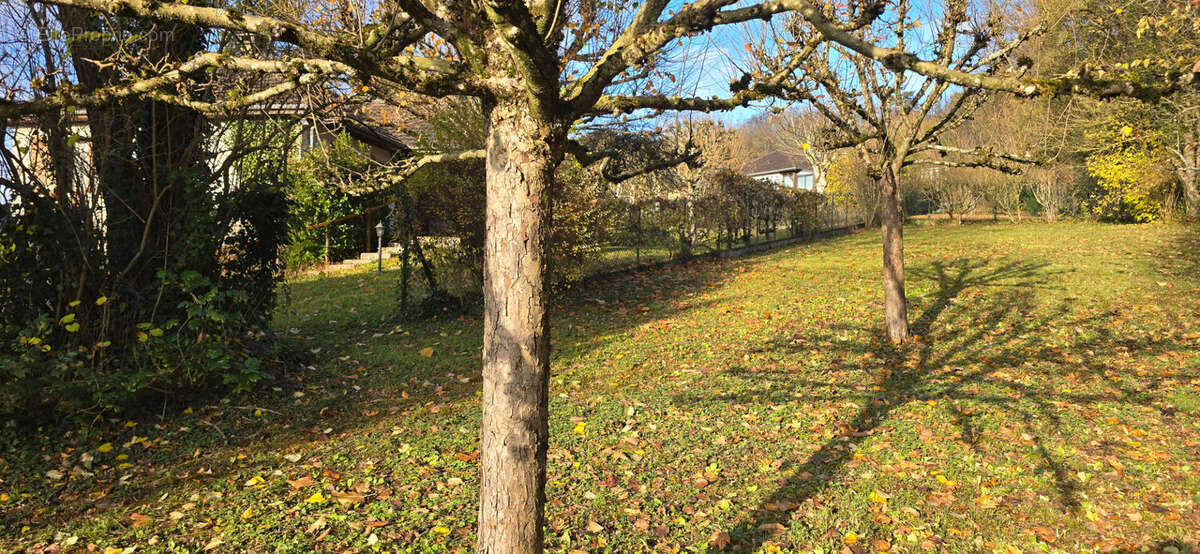 Maison à BAR-SUR-SEINE