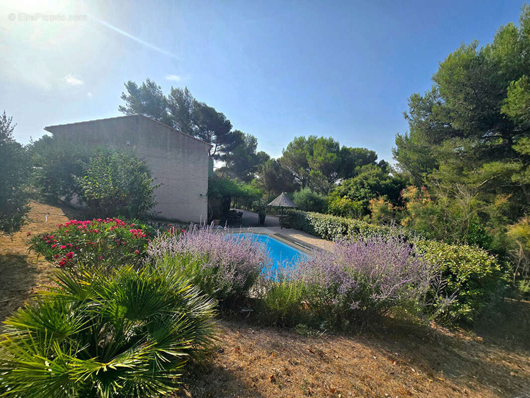 CADOLIVE - Villa T4 + cabanon aménagé de 35m² s/5000m² - photo 2