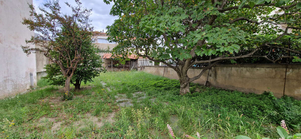 Maison à ILLE-SUR-TET