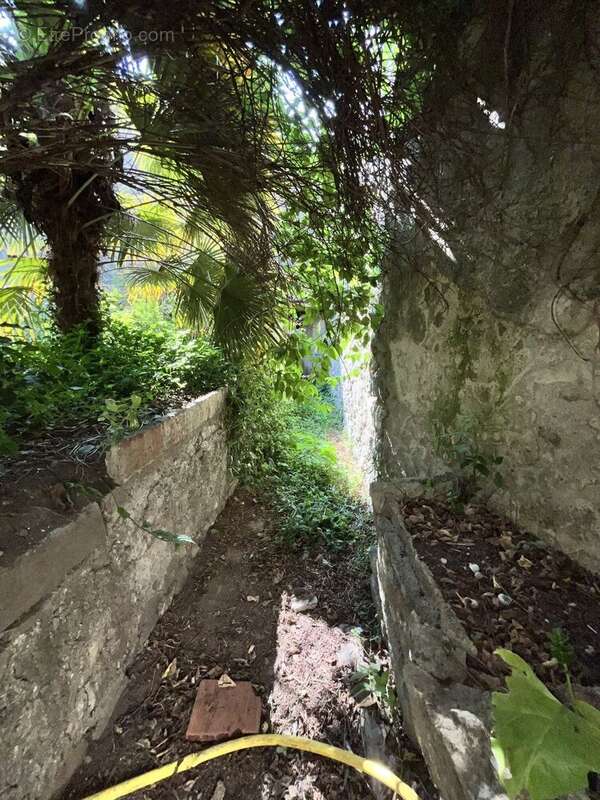 Maison à SAINT-HIPPOLYTE-DU-FORT