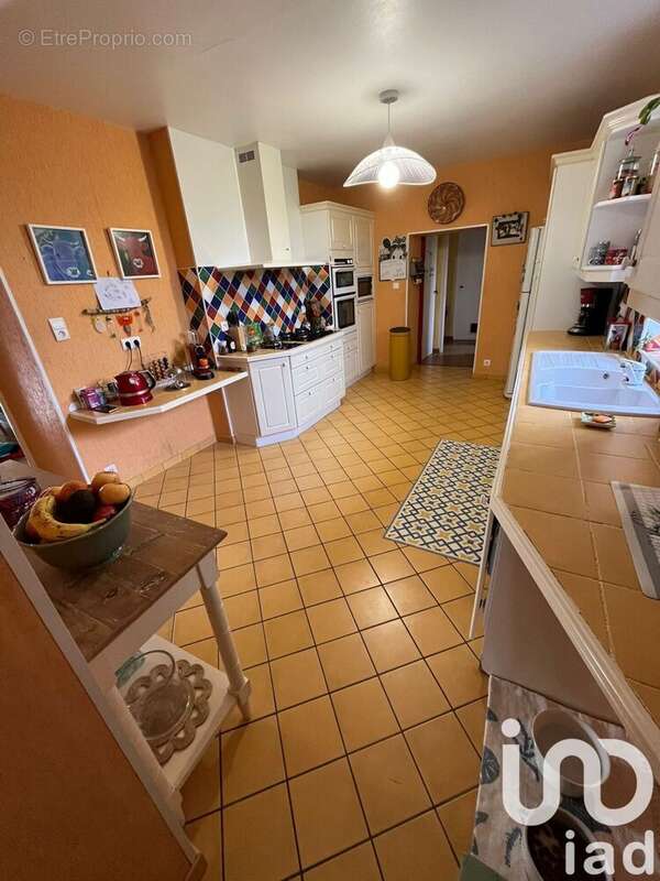 Maison 494 m² à La Gripperie-Saint-Symphorien  - photo 7