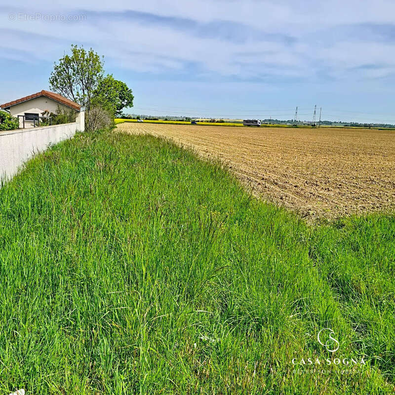 Terrain à SAINT-PIERRE-DE-CHANDIEU