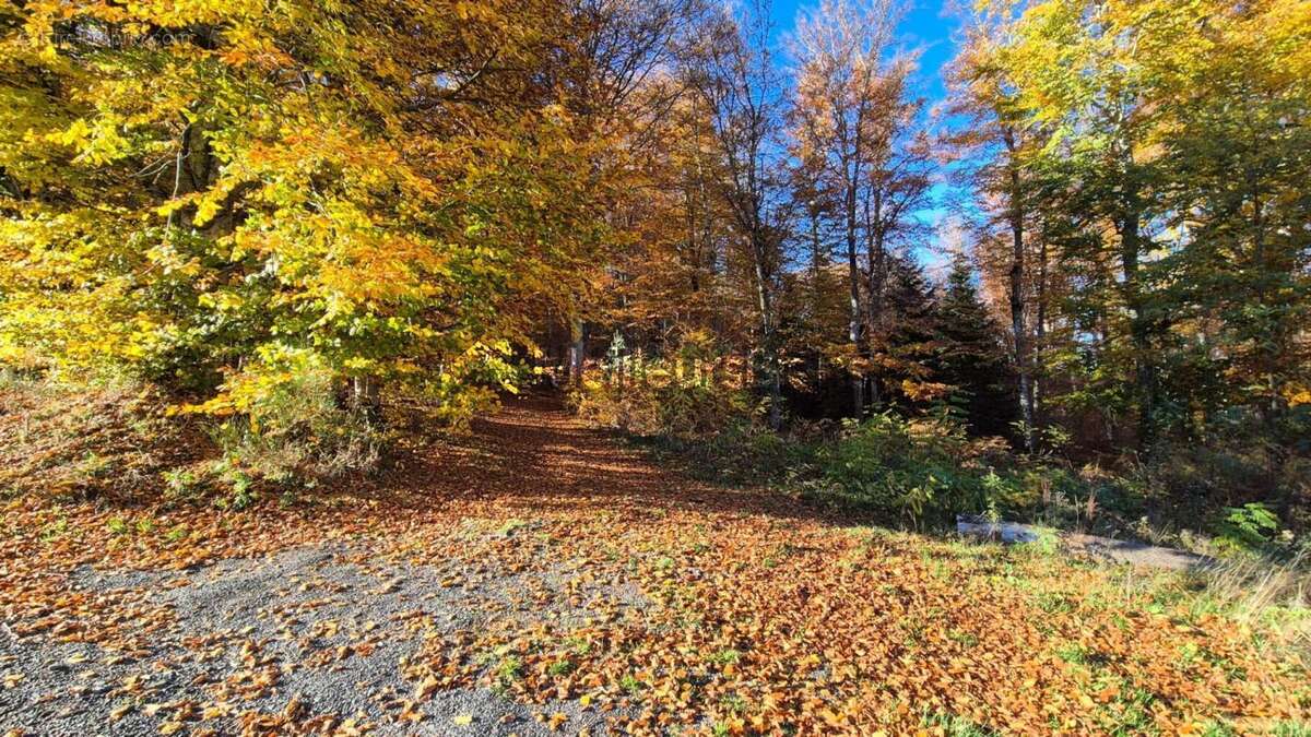 Maison à SAINT-CLEMENT