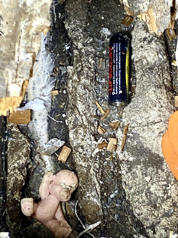 Idéal investisseur - photo 72
