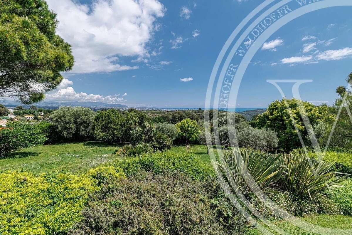 Maison à ROQUEFORT-LES-PINS