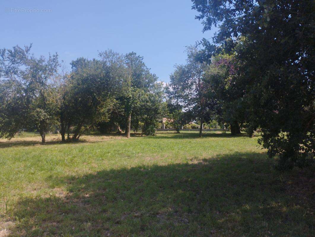 Terrain viabilisé 1574 m² - Proche Cazères - photo 2