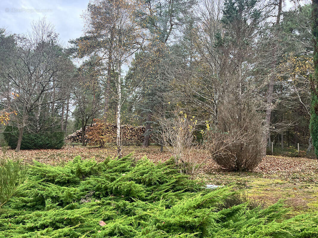 Maison à VIENNE-EN-VAL