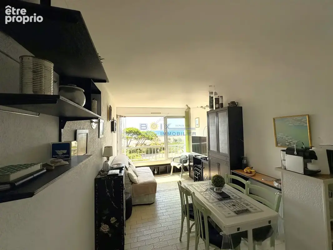 Appartement T1  traversant SH 25 M2  avec loggia et  parking privé - photo 2