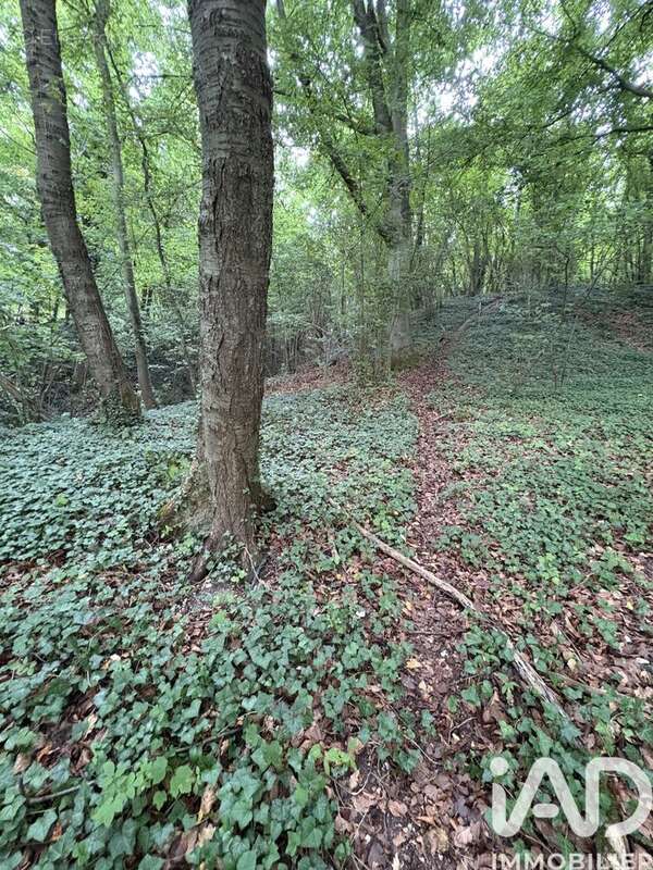 Photo 4 - Terrain à DOULLENS