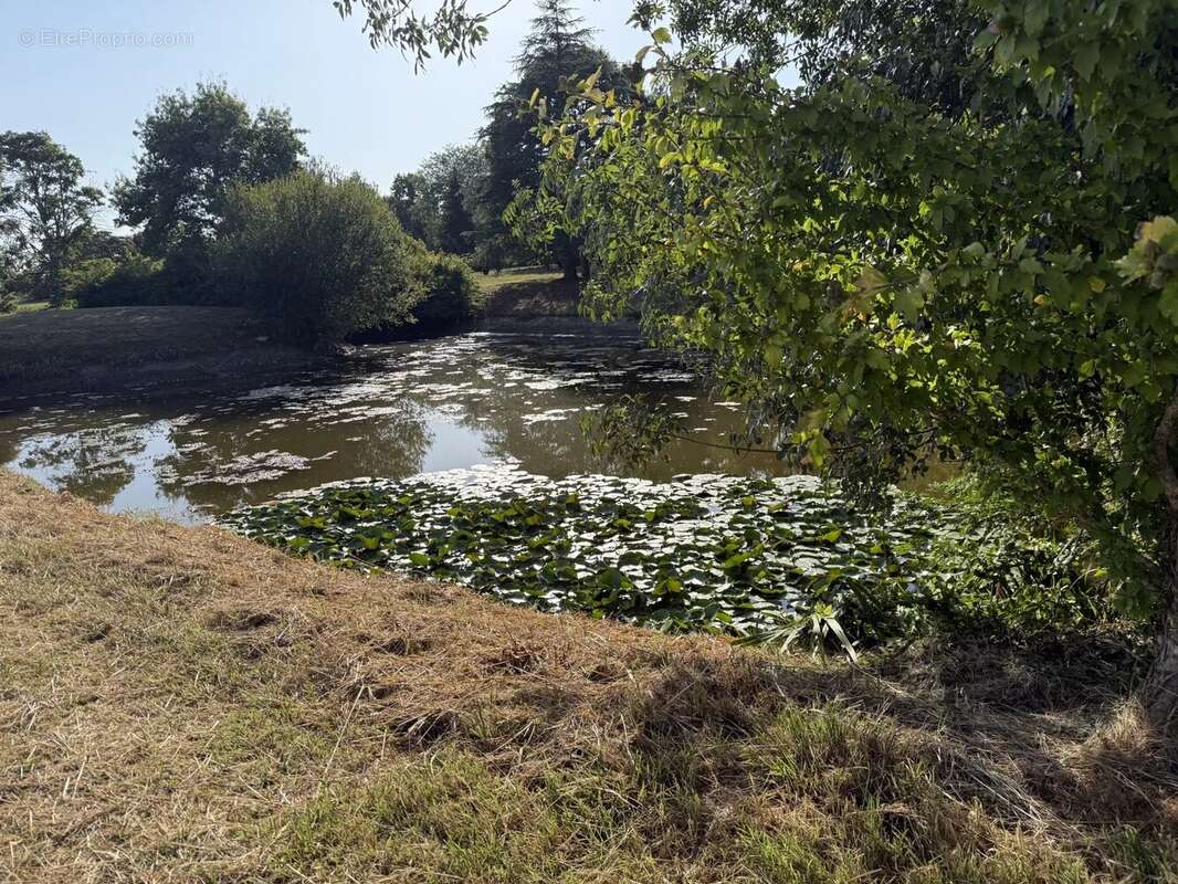 FERME de 248m² - 1hectare48a78ca avec étangs - photo 2