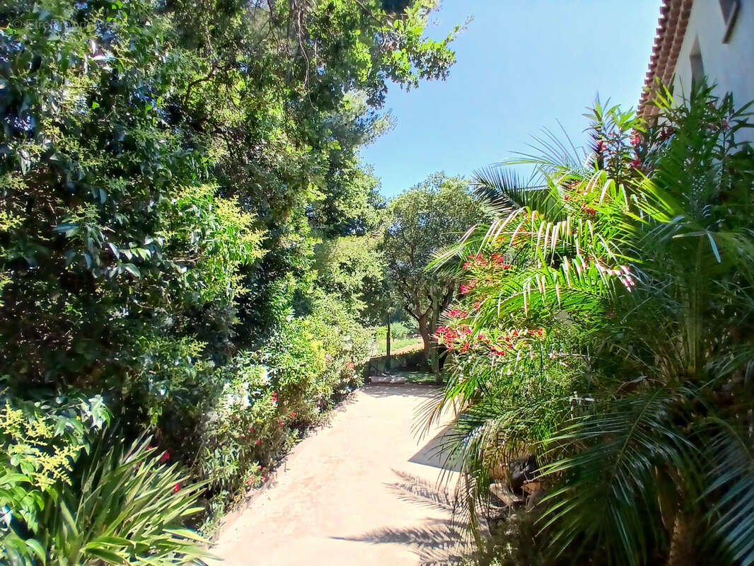 Maison à SIX-FOURS-LES-PLAGES