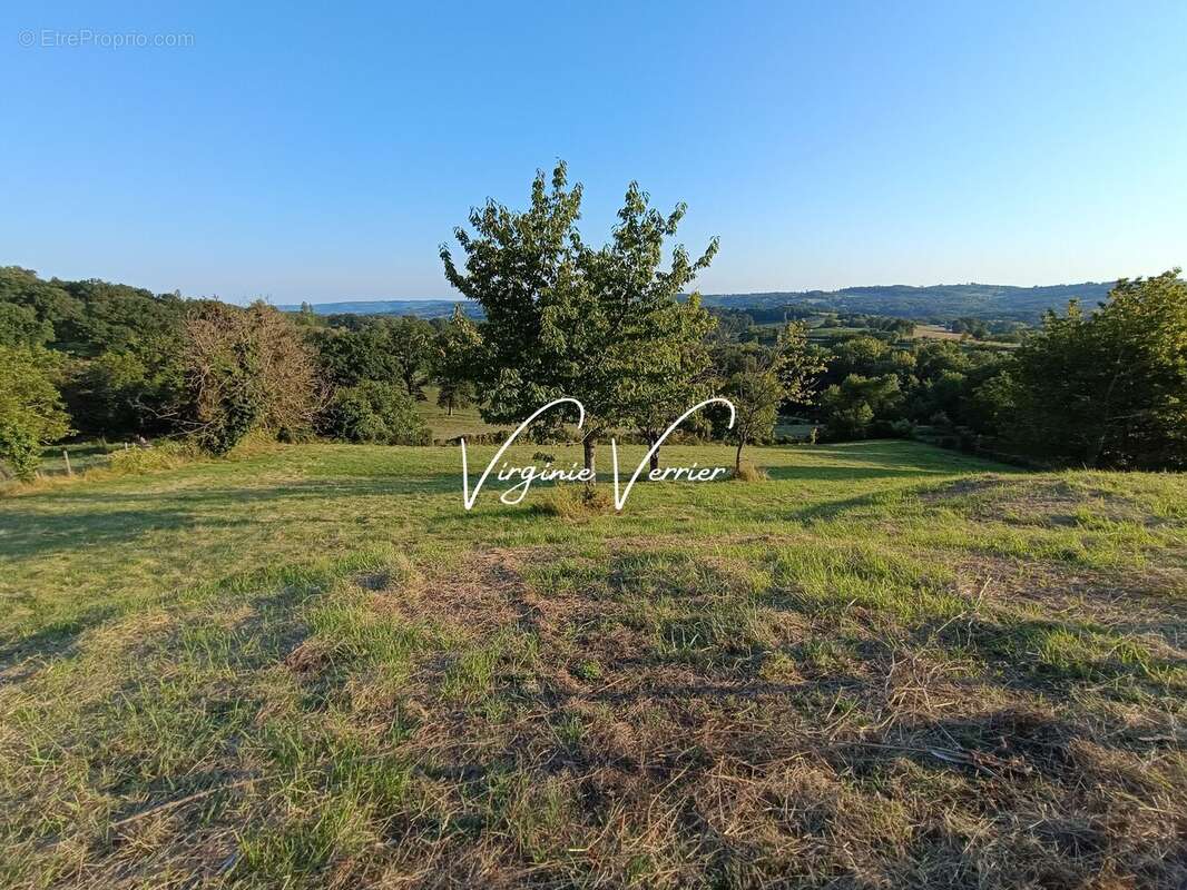 Terrain à PERPEZAC-LE-BLANC