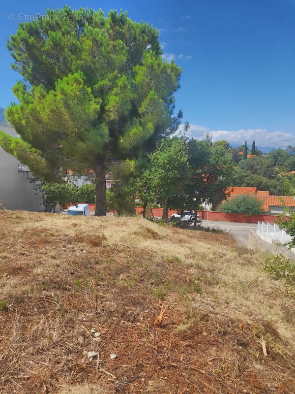 Magnifique terrain de 710 m2 avec vue Mer - photo 3