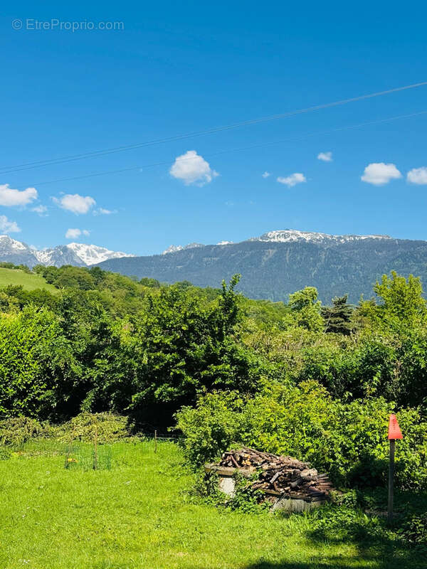 Terrain à BRIE-ET-ANGONNES