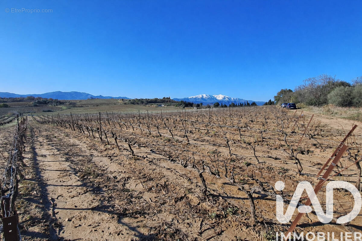 Photo 1 - Terrain à BAGES
