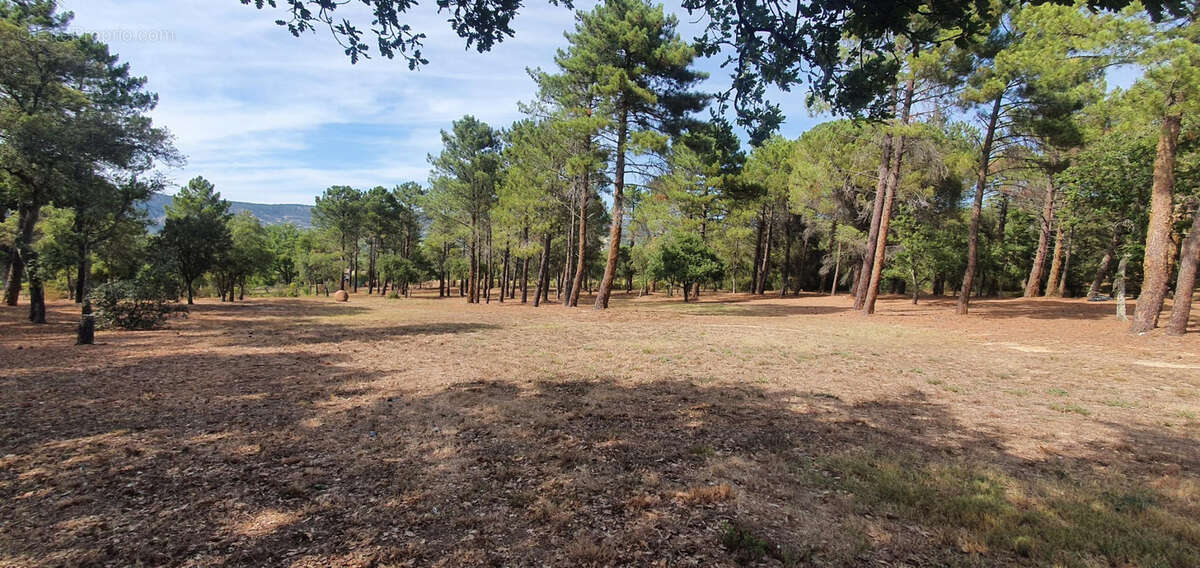 Maison à PLAN-DE-LA-TOUR