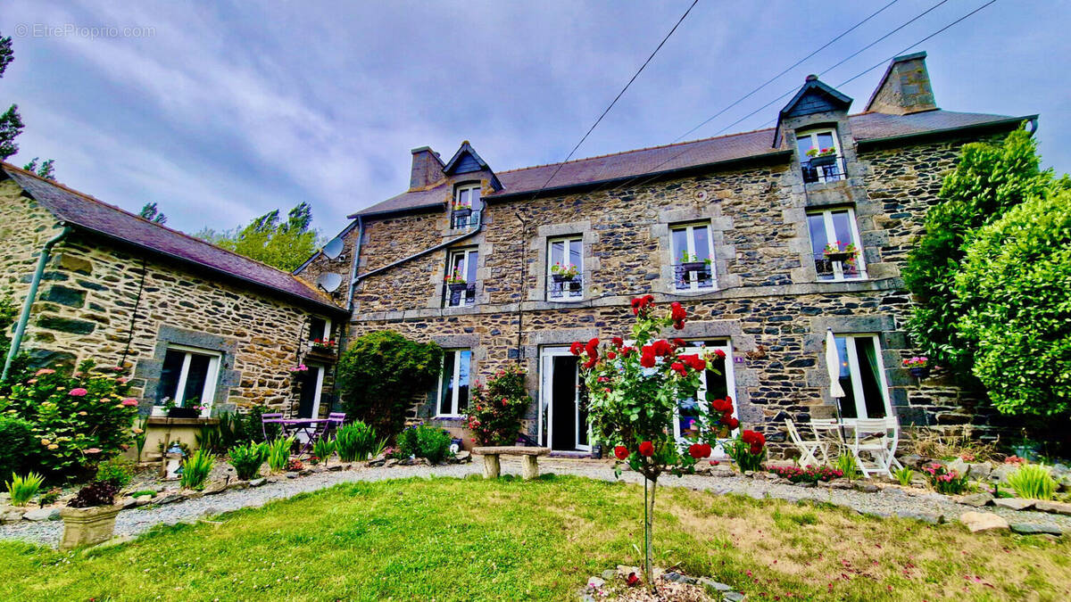 Maison à COLLINEE