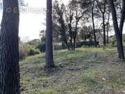 Terrain à MOUGINS