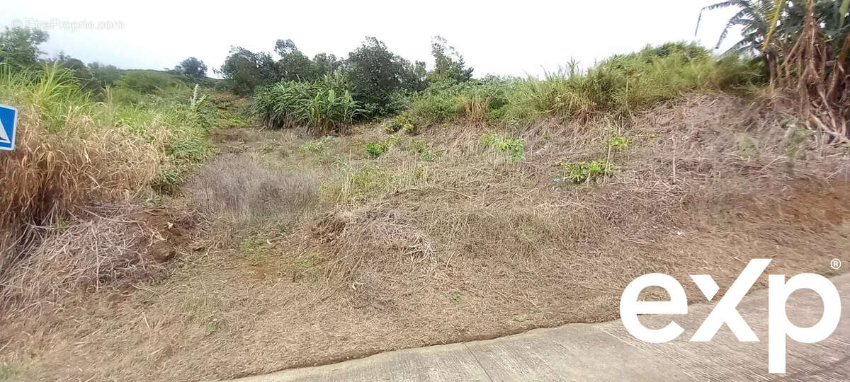 Terrain à SAINT-LEU