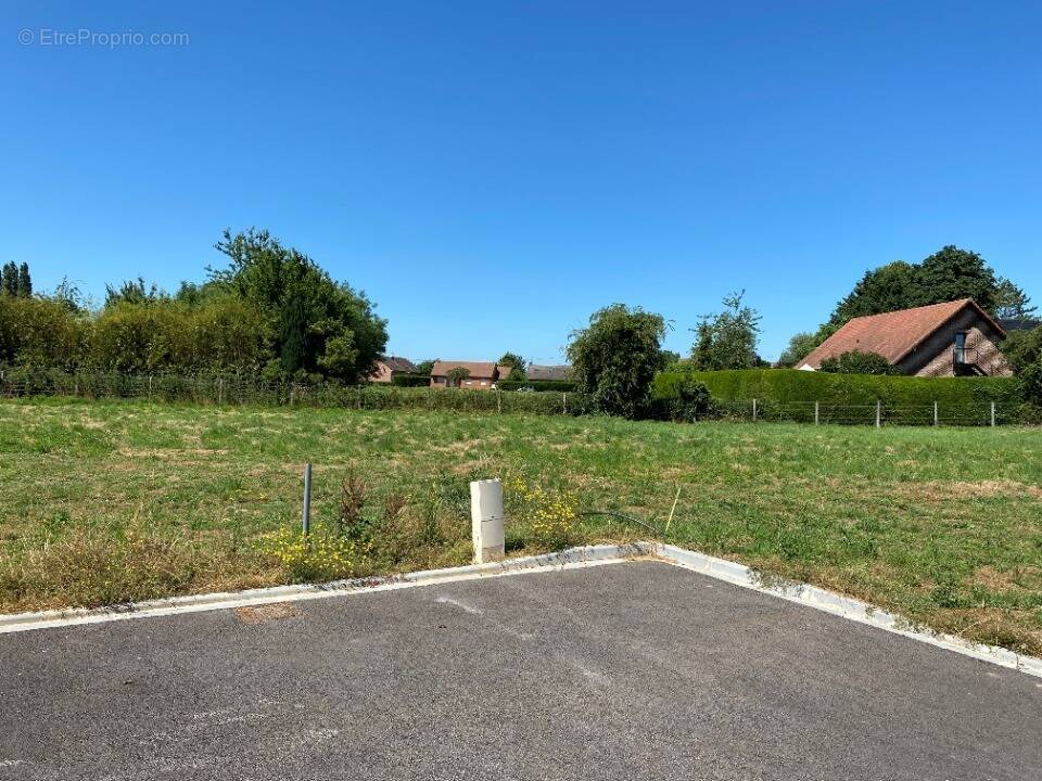 Terrain à MAZINGARBE