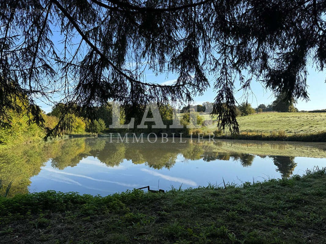 Terrain à MOULINS-LA-MARCHE