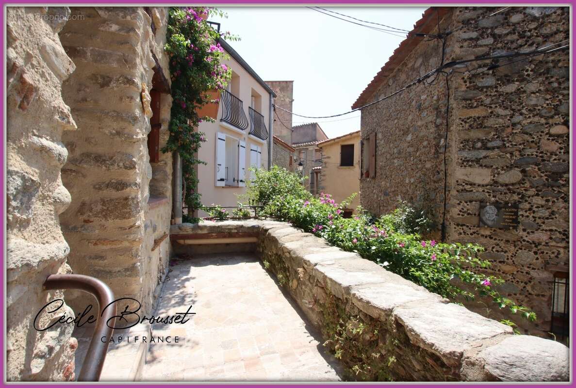 Maison de caractère avec garage, terrasse panoramique et appartement T2 à fort rendement – Saint-Jean-Pla-de-Corts (66490) - photo 13