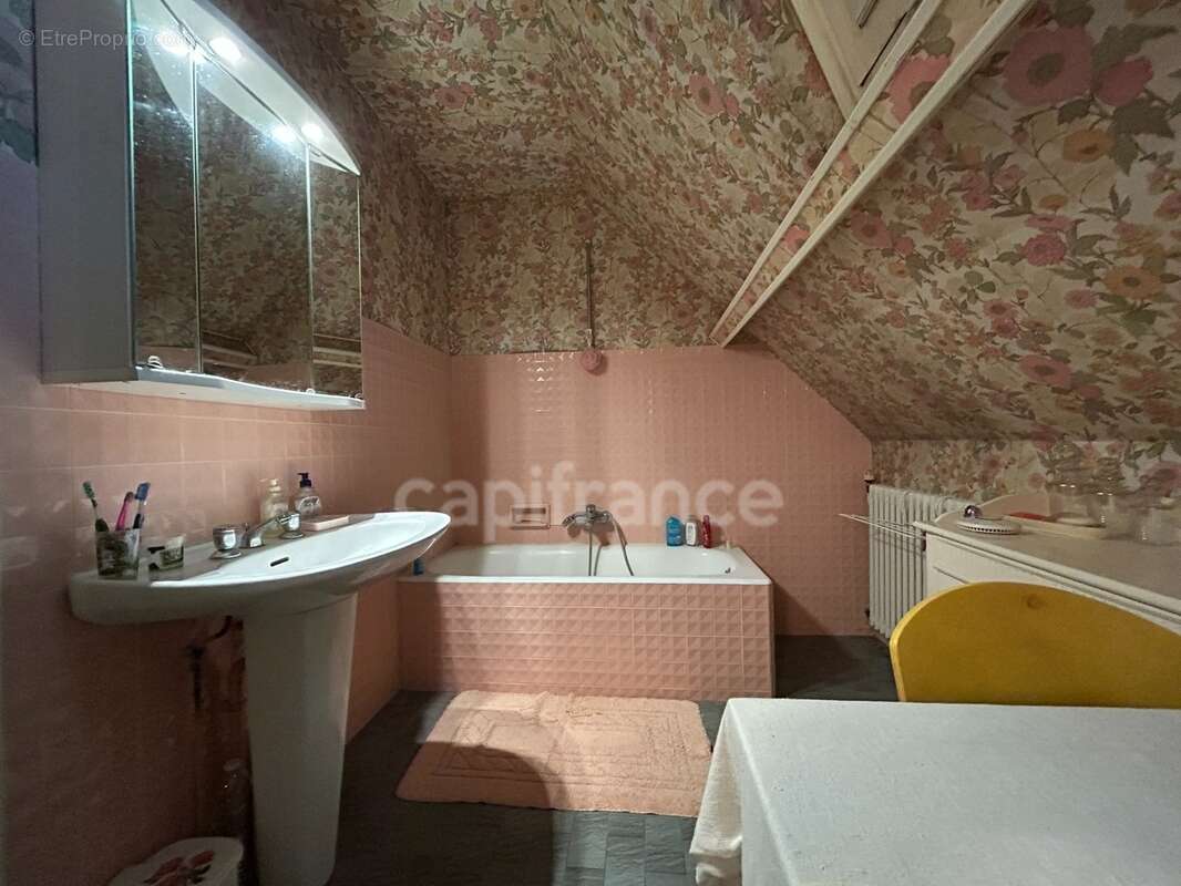 Maison à vendre 7 pièces THIVIERS (24)252m² sur plus de 5000m² de terrain - photo 21