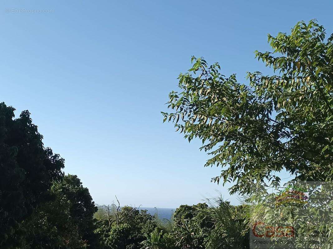Terrain à SAINTE-ROSE