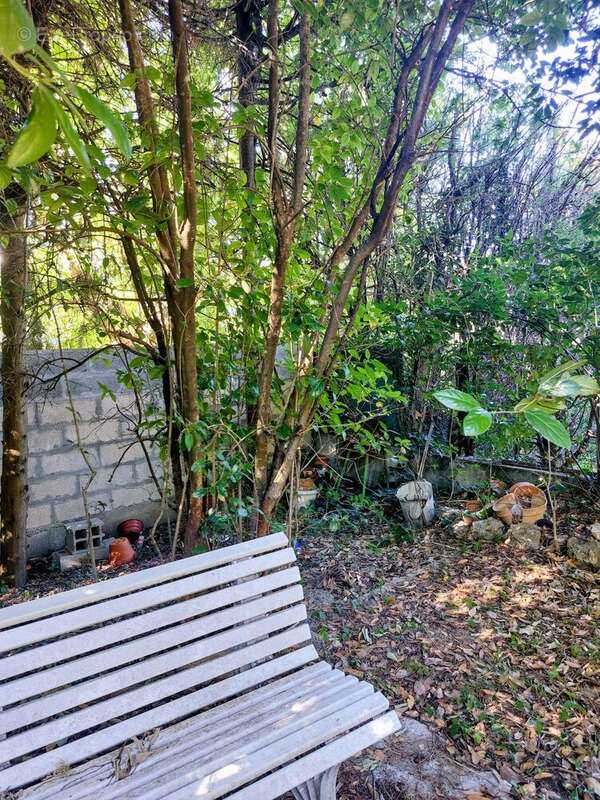 Coin repos dans le jardin - Maison à MONTPELLIER