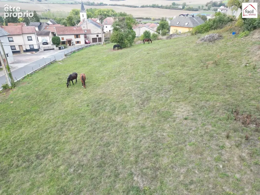 Terrain 2 867 m² à vendre à Imling (57400) - photo 2