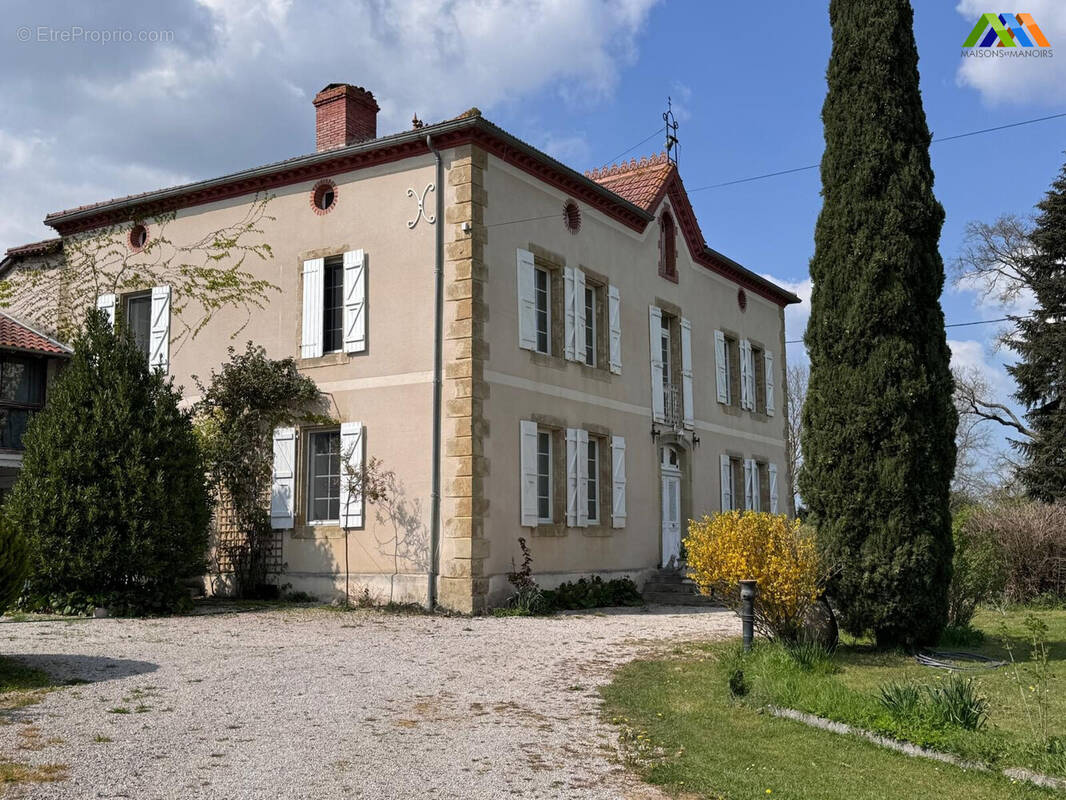 maison de maitre - Maison à MASSEUBE
