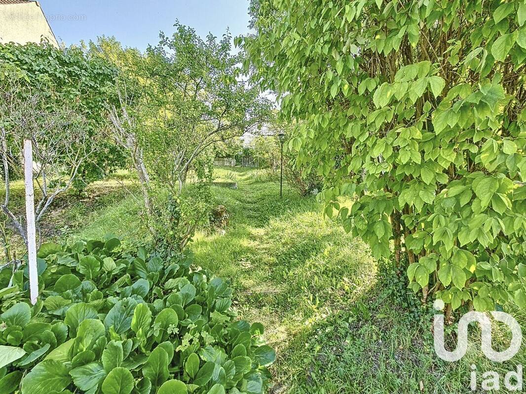 Photo 1 - Terrain à SARTROUVILLE