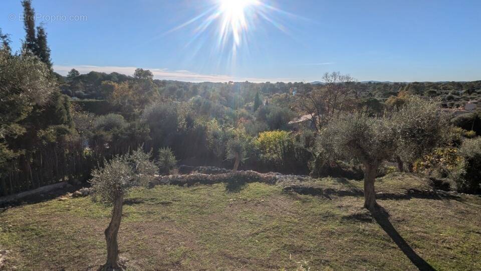 Terrain à ROQUEFORT-LES-PINS