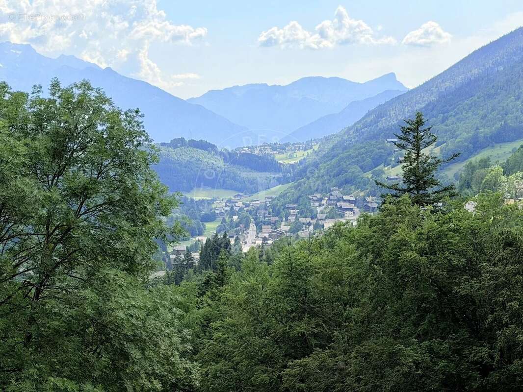 Exceptionnel Terrain de 3067 m2 dont 1102 m2 constructible avec permis accepté - photo 3