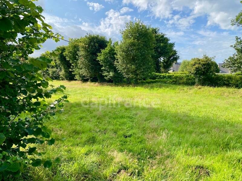 Terrain à LA TRINITE-SURZUR