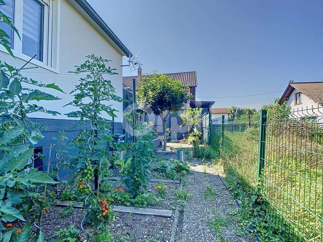 Maison à BATTENHEIM