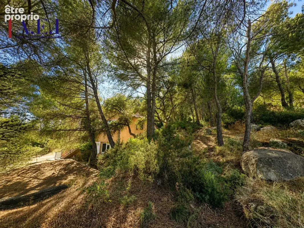 Six Fours les plages - Maison de 174 m2 habitables sur une parcelle de 5 744 m2 - photo 6