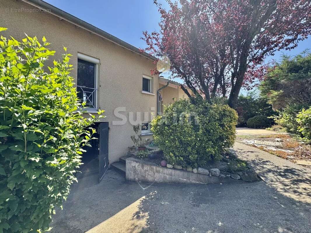 Maison à CHATILLON-SUR-CHALARONNE